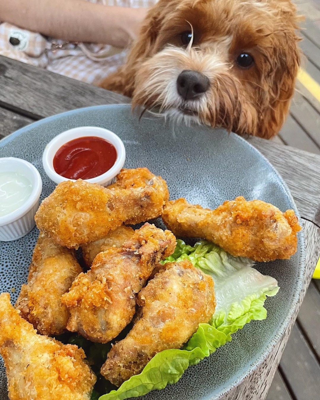 Top 10 Gluten Free Restaurants in Adelaide CoeliacEasy